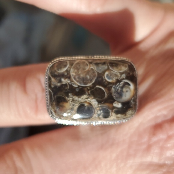New Turritella Agate Fossil 925 Silver Ring. - Picture 14 of 16